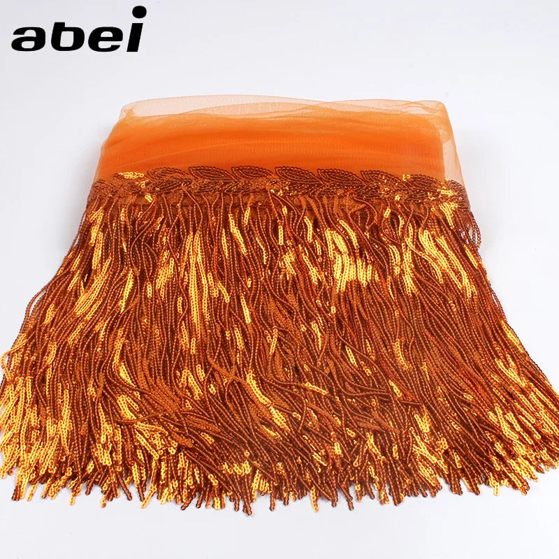 2 Yards Sequin Tassel Lace Ribbon 30cm -  Party Dress Trim