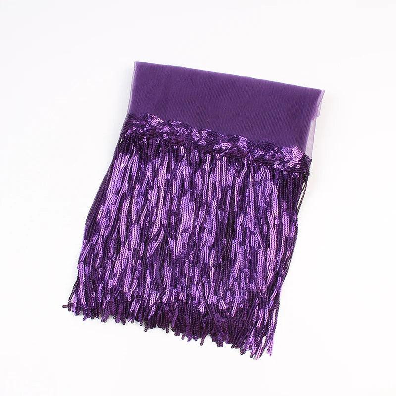 2 Yards Sequin Tassel Lace Ribbon 30cm -  Party Dress Trim