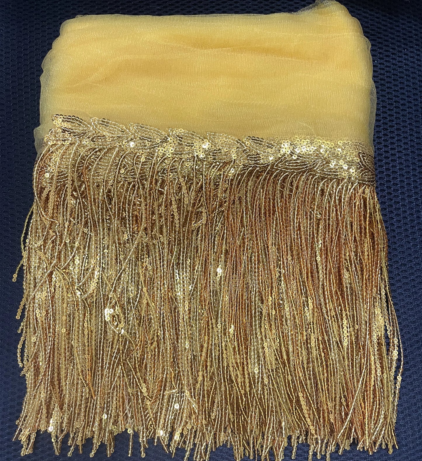 2 Yards Sequin Tassel Lace Ribbon 30cm -  Party Dress Trim