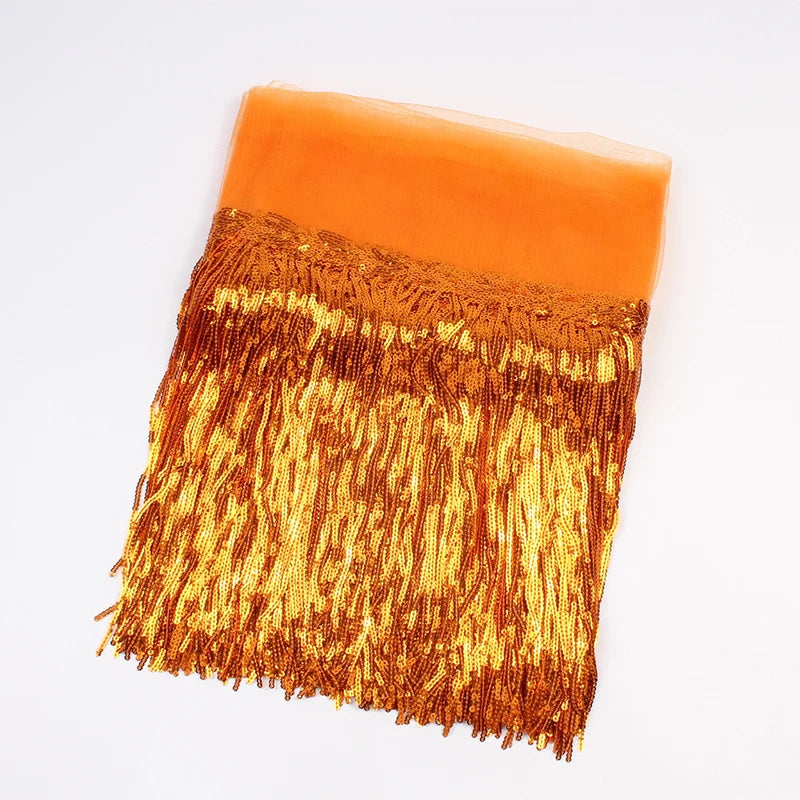 2 Yards Sequin Tassel Lace Ribbon 30cm -  Party Dress Trim