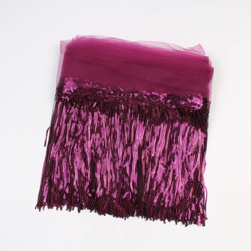 2 Yards Sequin Tassel Lace Ribbon 30cm -  Party Dress Trim