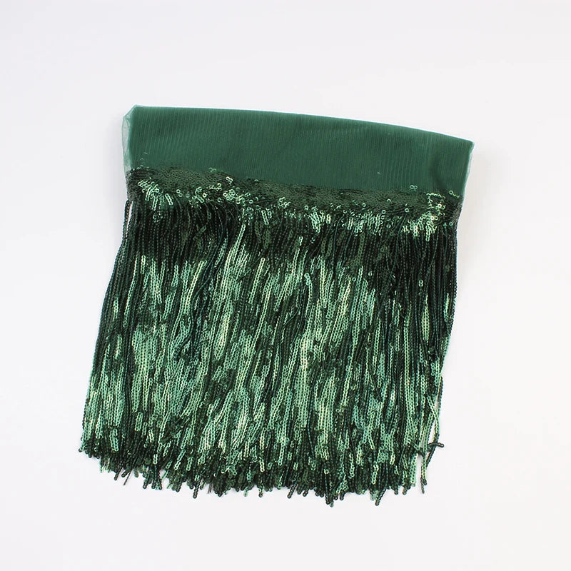 2 Yards Sequin Tassel Lace Ribbon 30cm -  Party Dress Trim