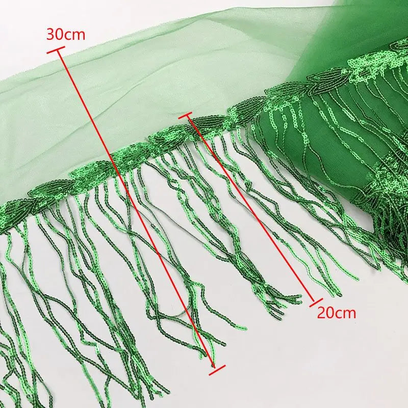 2 Yards Sequin Tassel Lace Ribbon 30cm -  Party Dress Trim