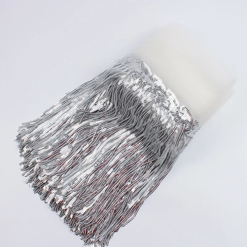 2 Yards Sequin Tassel Lace Ribbon 30cm -  Party Dress Trim