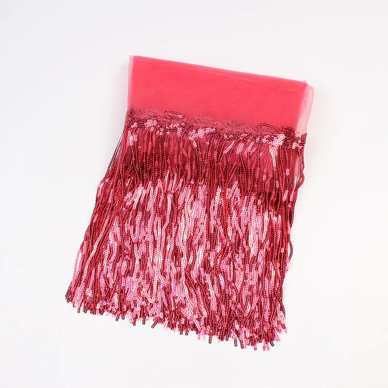 2 Yards Sequin Tassel Lace Ribbon 30cm -  Party Dress Trim