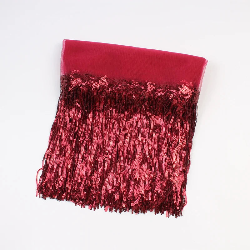 2 Yards Sequin Tassel Lace Ribbon 30cm -  Party Dress Trim